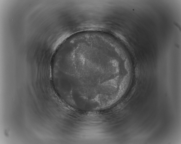 X0000101951267200808081458