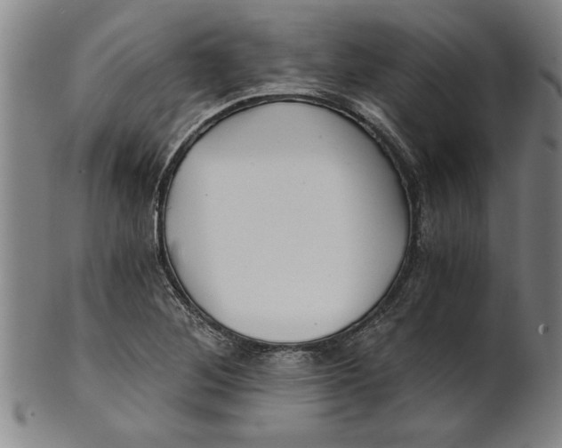 X0000101951268200808081458