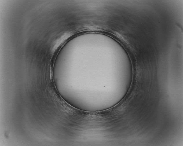 X0000101951269200808081458