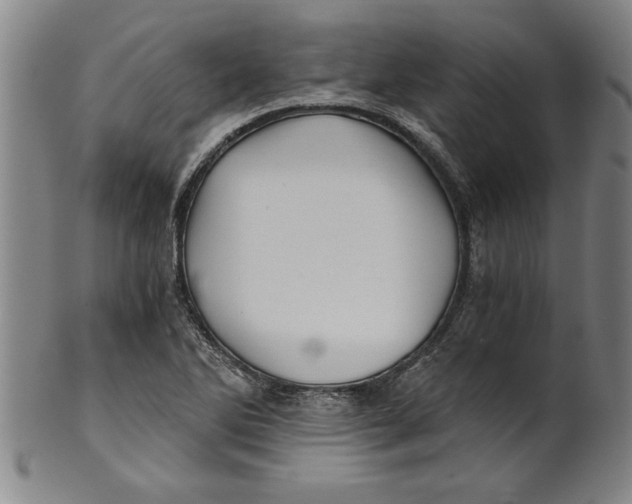 X0000101951270200808081458