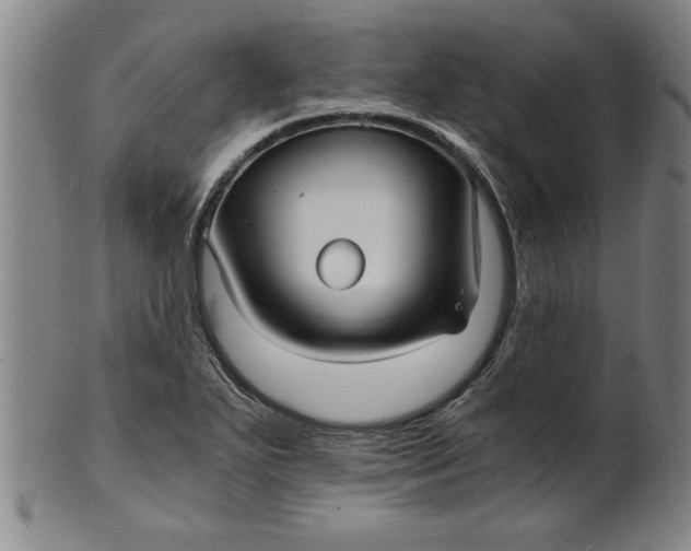 X0000101951271200808081457