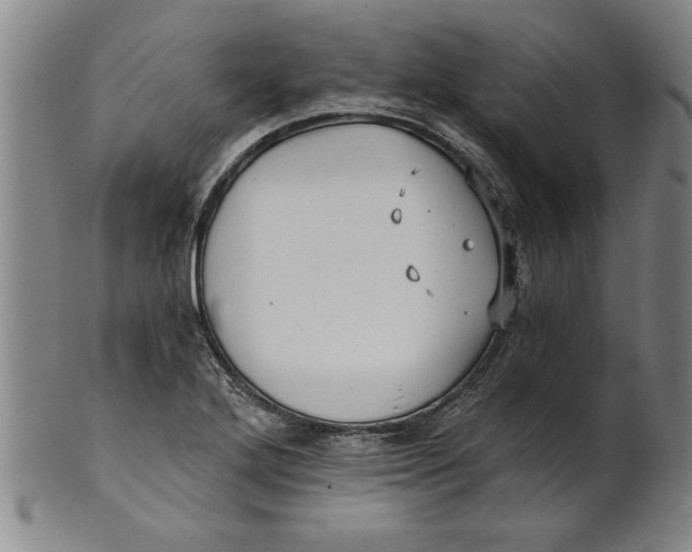 X0000101951272200808081457