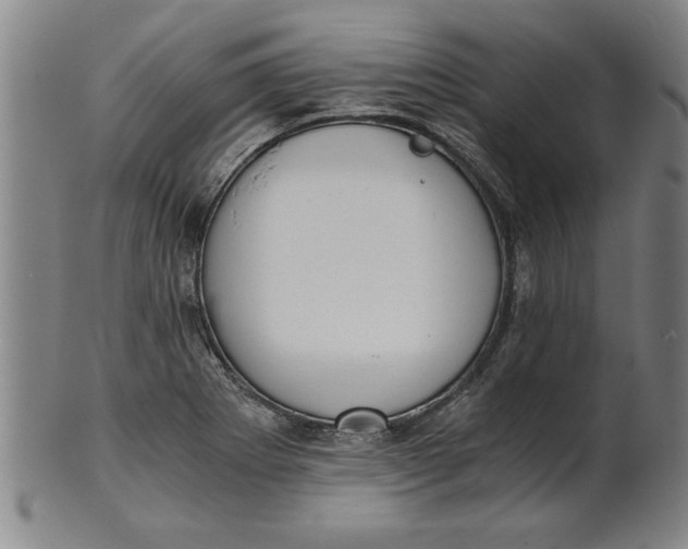 X0000101951273200808081457