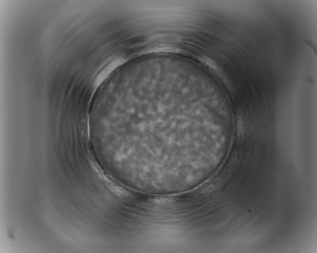 X0000101951274200808081457