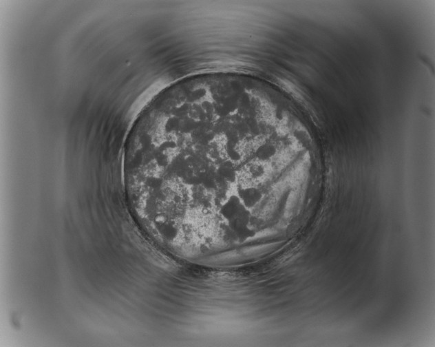 X0000101951275200808081457