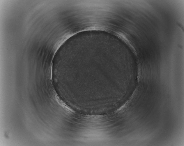 X0000101951276200808081457