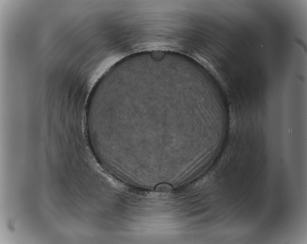 X0000101951277200808081457