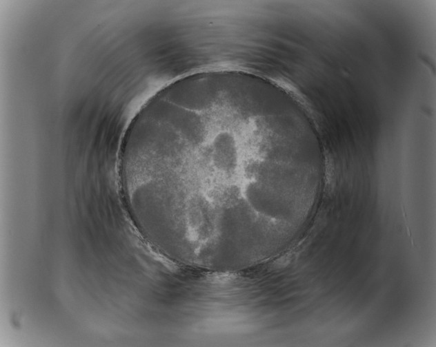 X0000101951278200808081457