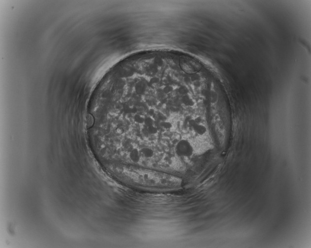 X0000101951279200808081457