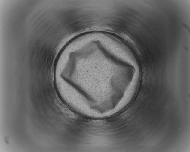 X0000101951280200808081457