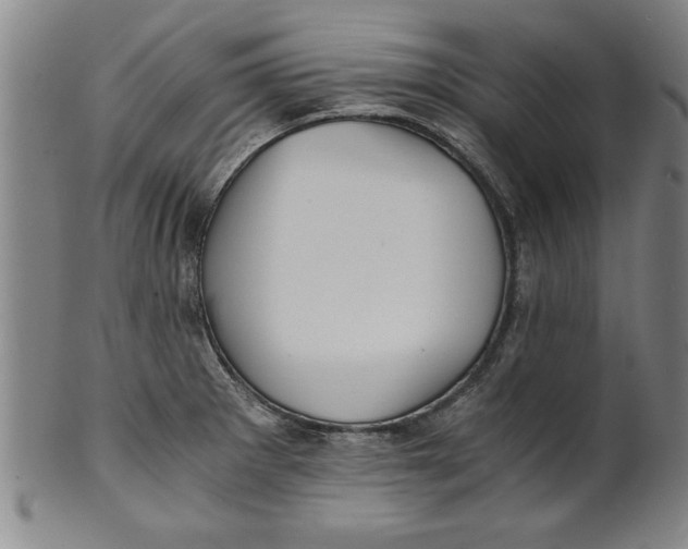 X0000101951281200808081457