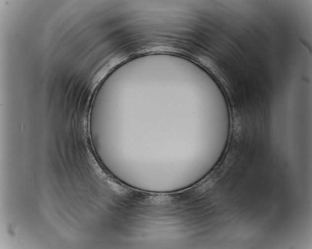 X0000101951282200808081457