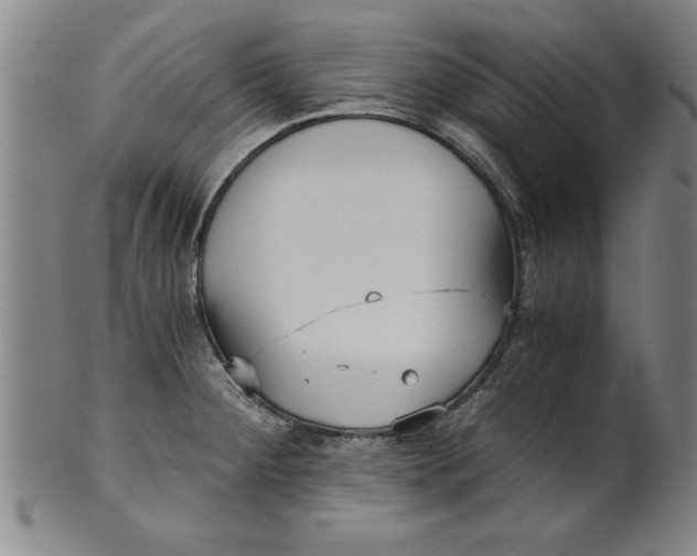 X0000101951284200808081457