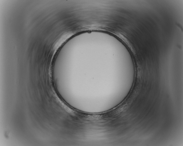 X0000101951285200808081457