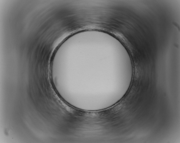 X0000101951286200808081457