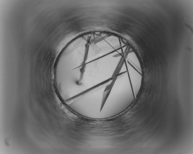 X0000101951287200808081457