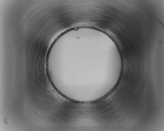 X0000101951288200808081457