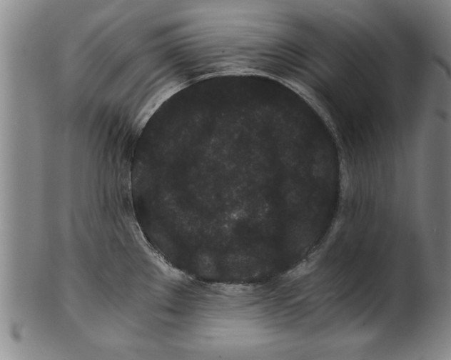 X0000101951289200808081457