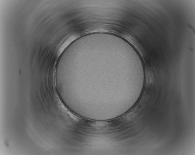 X0000101951290200808081457