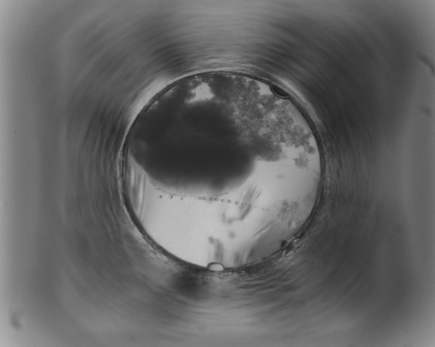 X0000101951291200808081457