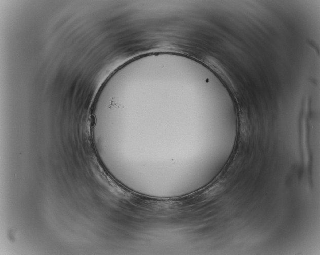 X0000101951292200808081457