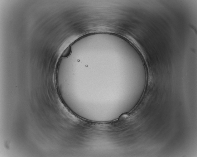 X0000101951293200808081457