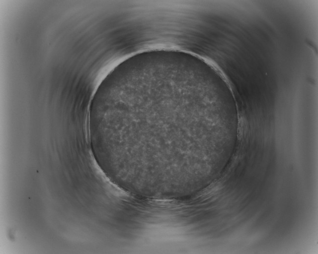 X0000101951295200808081457