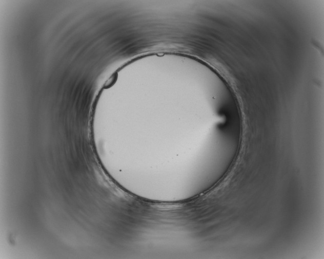 X0000101951296200808081457