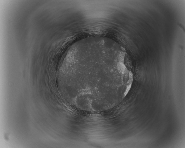 X0000101951297200808081456