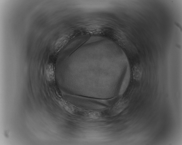 X0000101951298200808081457