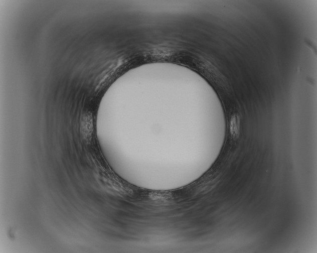 X0000101951299200808081457