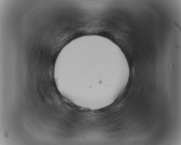 X0000101951300200808081457