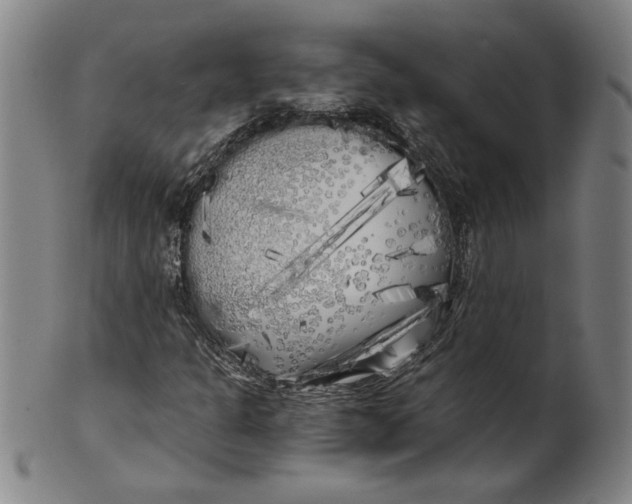 X0000101951301200808081457