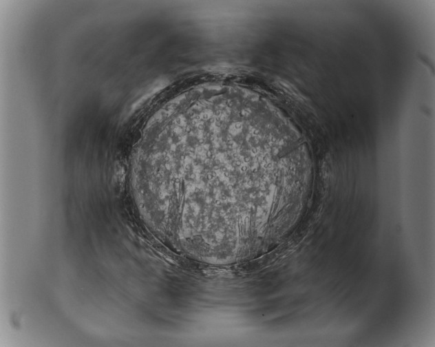 X0000101951302200808081457