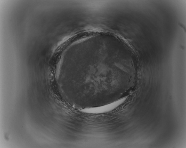 X0000101951303200808081457