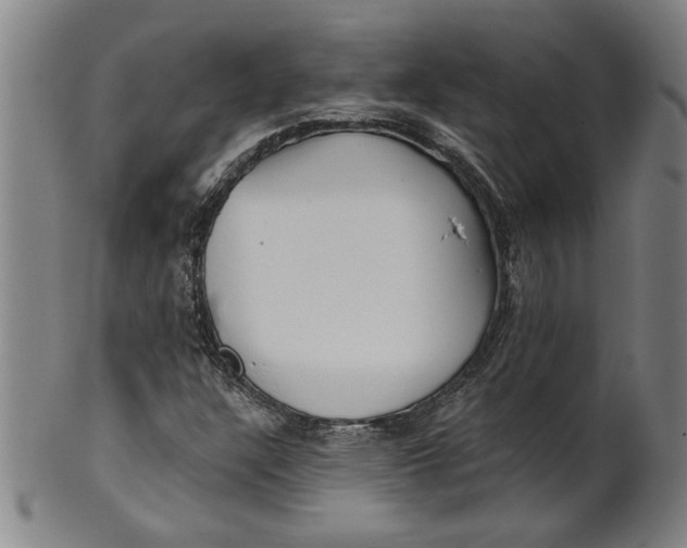 X0000101951304200808081457