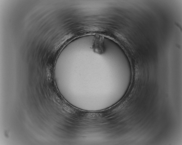 X0000101951305200808081457