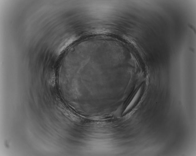 X0000101951306200808081457