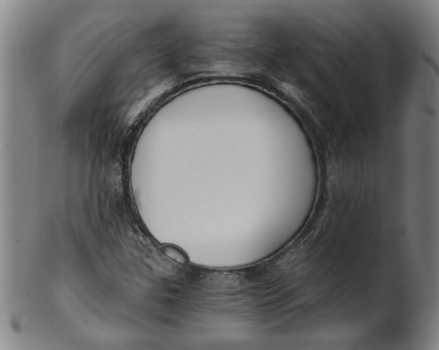 X0000101951307200808081457