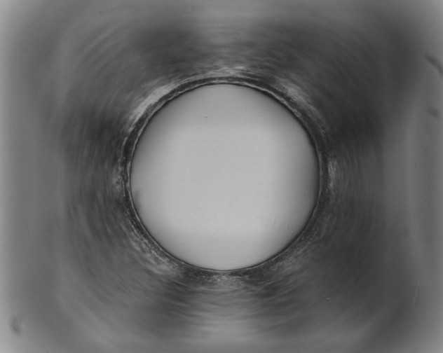 X0000101951308200808081457