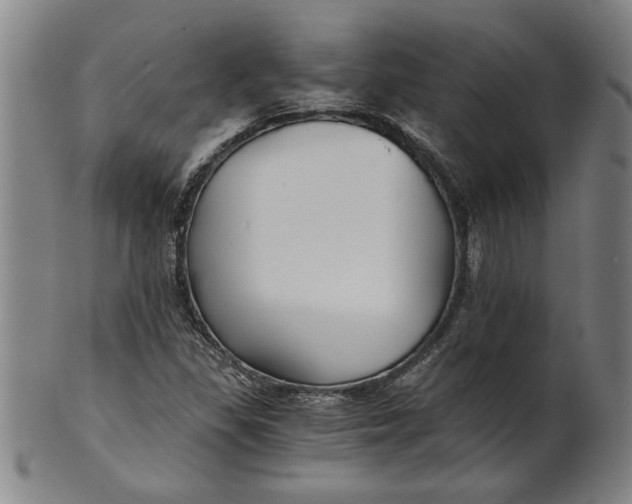 X0000101951309200808081457