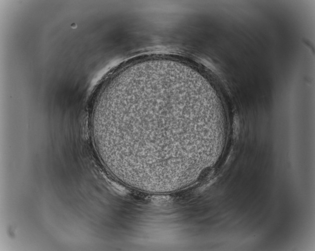 X0000101951310200808081457