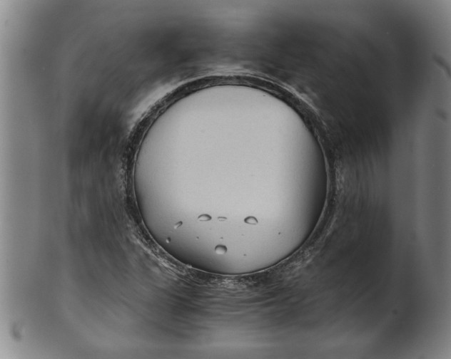 X0000101951311200808081457