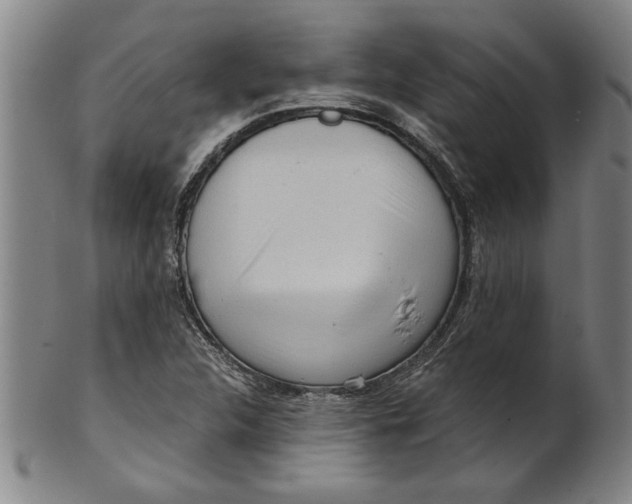 X0000101951312200808081457