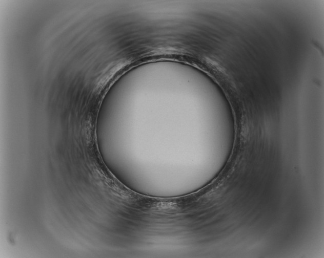 X0000101951313200808081457