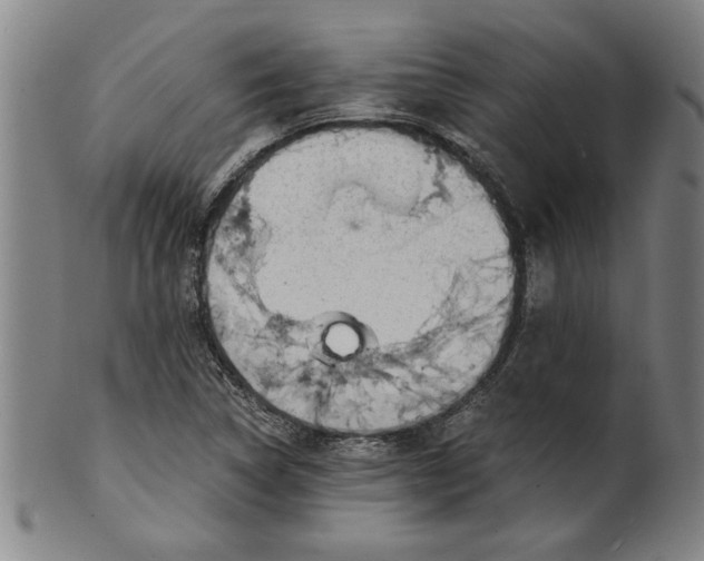 X0000101951314200808081457