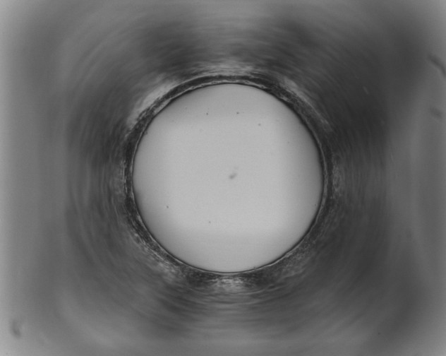 X0000101951315200808081457