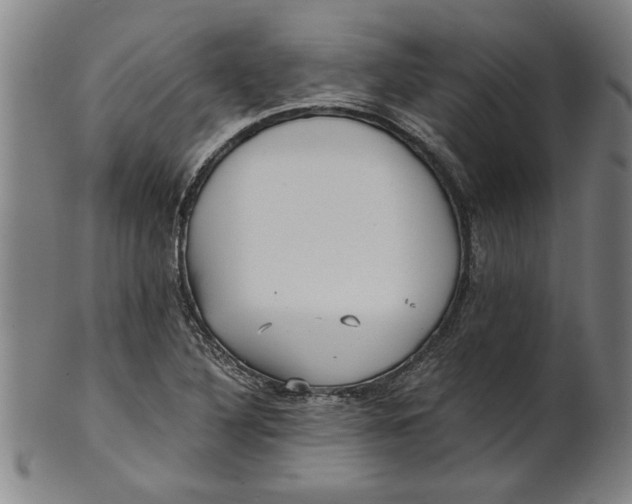 X0000101951316200808081457