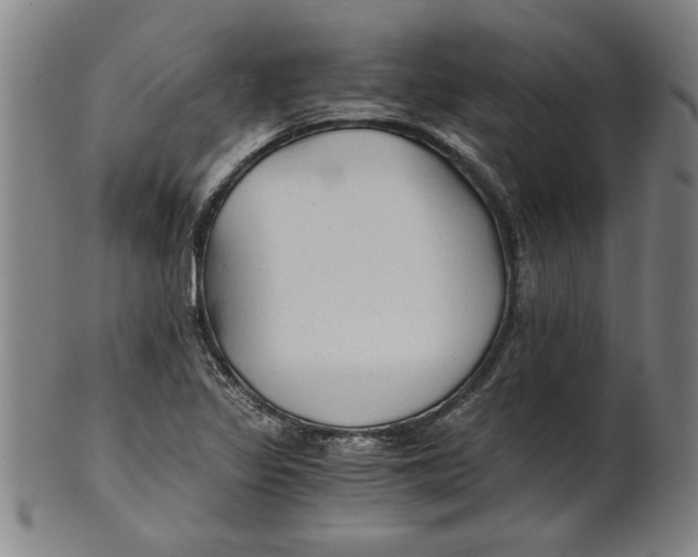 X0000101951317200808081457