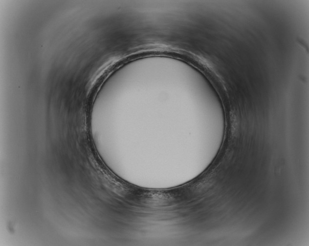 X0000101951318200808081457